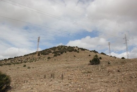 南欧のうさぎ山(1)の画像