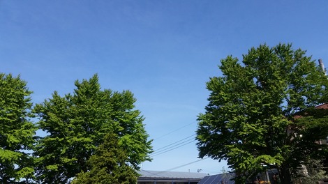 明るい農村 (2)の画像