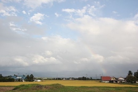 紫波の虹(2)の画像