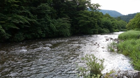 (2)の画像
