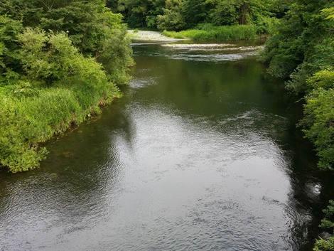(6)の画像