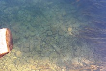 南欧の涼⑤お魚??の画像