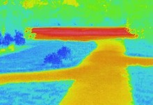 打水後の体温の画像