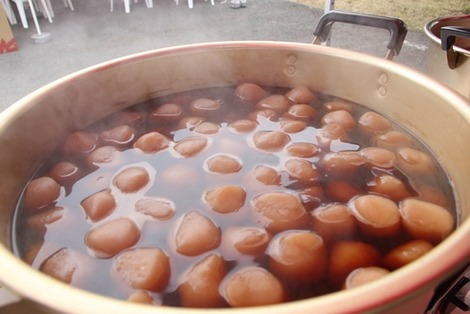 家づくり発見フェア(4)の画像