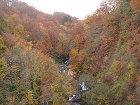 kunimiの画像