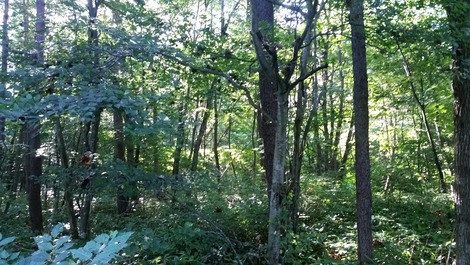 岩手の風景 (3)の画像