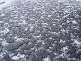 融雪比較写真左の画像