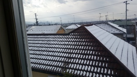 なごり雪(1)の画像