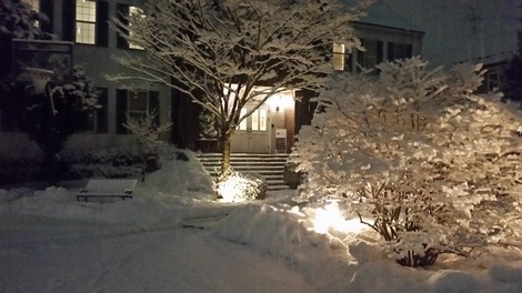 岩手の雪の画像