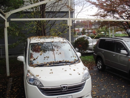 賑やかな車の画像