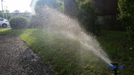 散水の涼