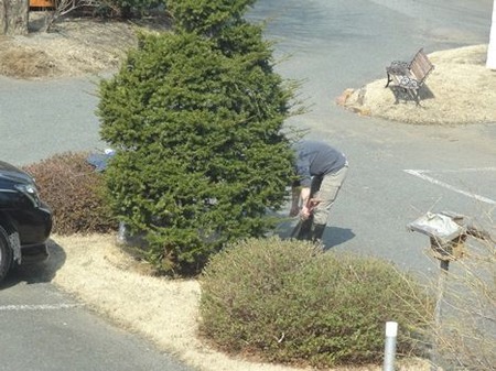 稼ぎ人の画像