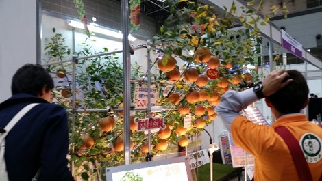 おもしろい！の画像