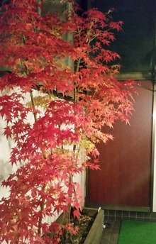 視界(2)の画像