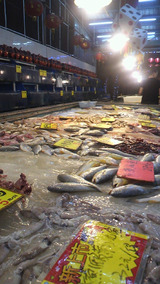 魚や？の画像