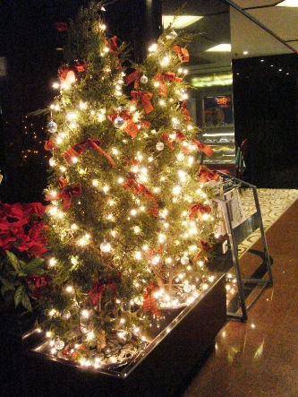 X'masの画像
