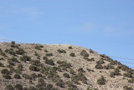 南欧のうさぎ山(9)の画像