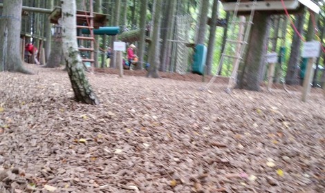 海外の公園 (3)の画像