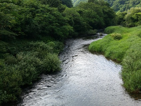 (5)の画像