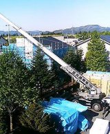 P505iS0020381939.jpgの画像