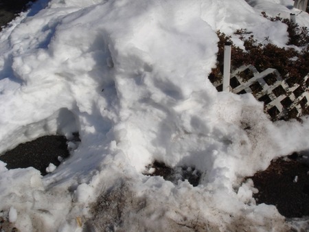 穴融雪・・の画像