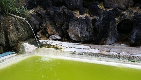 おさるの湯の画像