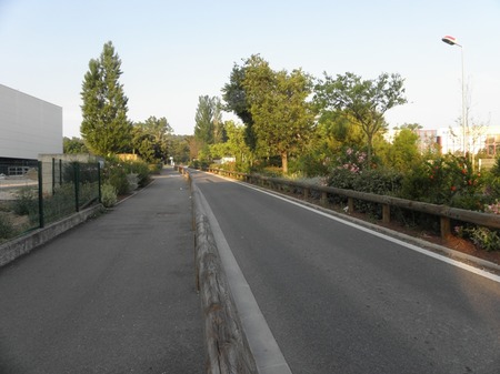 道路・・？の画像