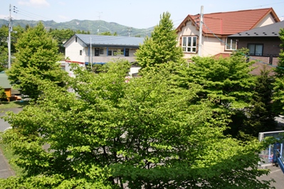 木々の画像