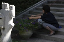 摘み取り②の画像