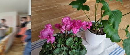 家の暮らし拝見ツアーの画像