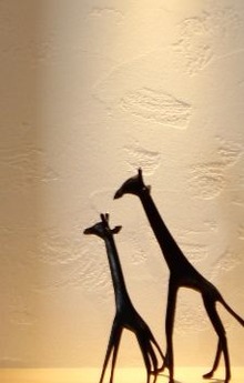 イメージの画像