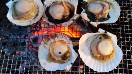今日一日 (5)の画像