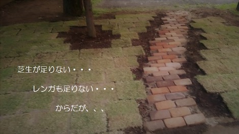 芝生張替えの画像