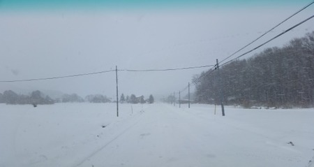 岩手の雪道の画像