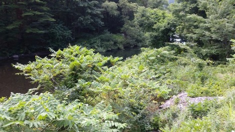 (4)の画像