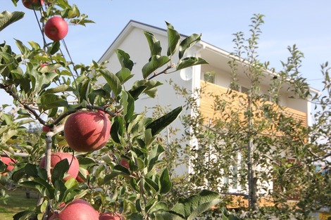 りんご畑の家 (2)