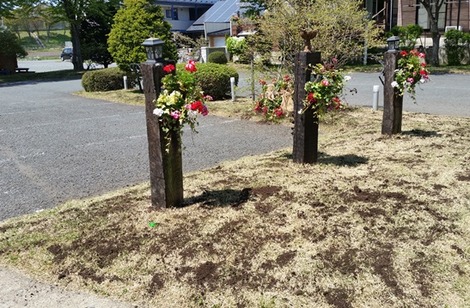 芝生の手入れ２の画像