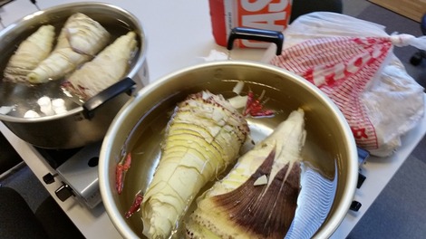 岩手産竹の子 (2)の画像