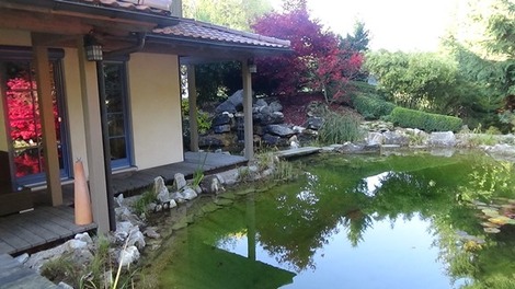 日本庭園？ (2)