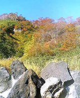 e79599a3.jpgの画像