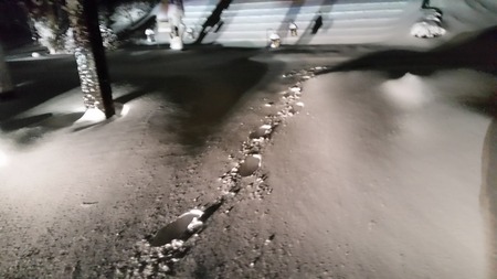 岩手の暴風雪 (1)の画像