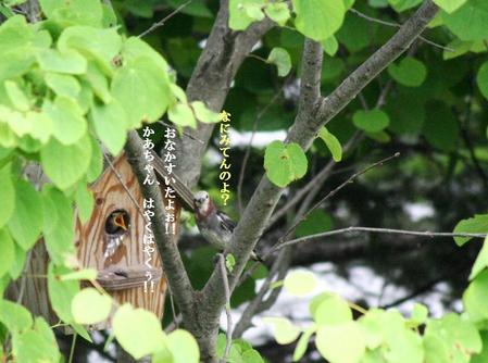 一日中食べまくり・・の画像