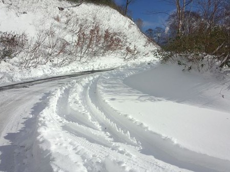 岩手の雪