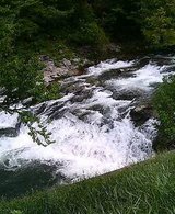 P505iS0021168389.jpgの画像
