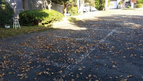 岩手の落葉の画像