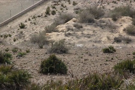 南欧のうさぎ山(5)の画像