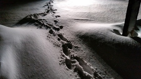 岩手の暴風雪 (2)の画像