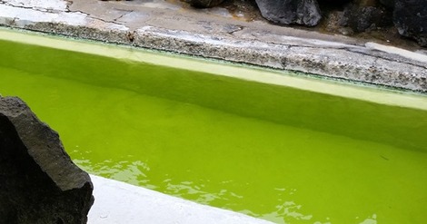 お猿の湯