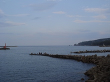 海の画像