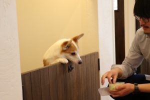sites/7/2018/05/AC6A0977-300x200.jpgの画像